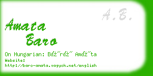 amata baro business card